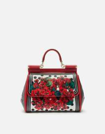 Picture of Dolce Gabbana Handbags _SKUfw69426023fw